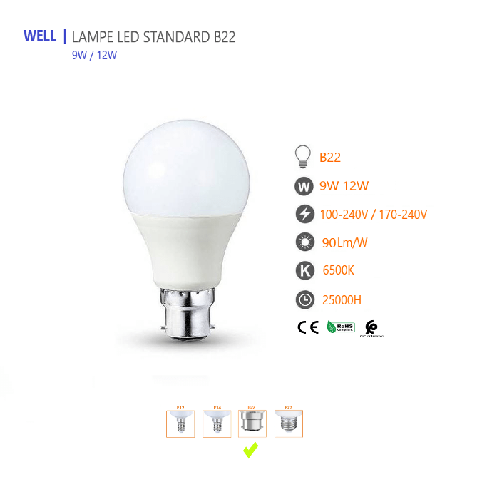 LAMPE STANDARD 12W B22 LED  6500K WELL